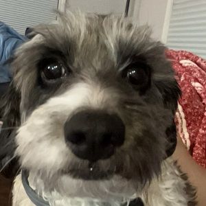 Meet your Posher, Caleb